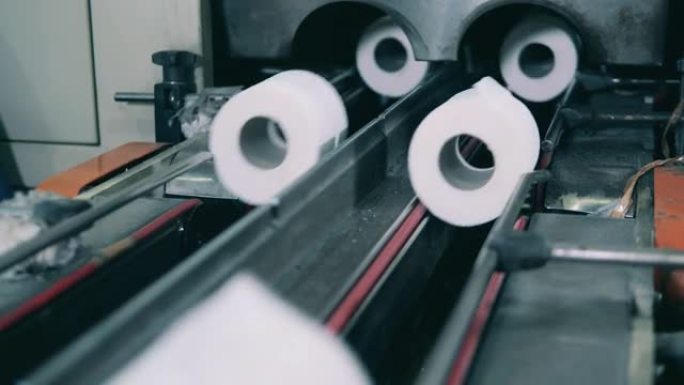 纸厂的卫生纸卷沿着生产线移动