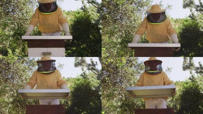 白人男性养蜂人穿着防护服打开蜂箱