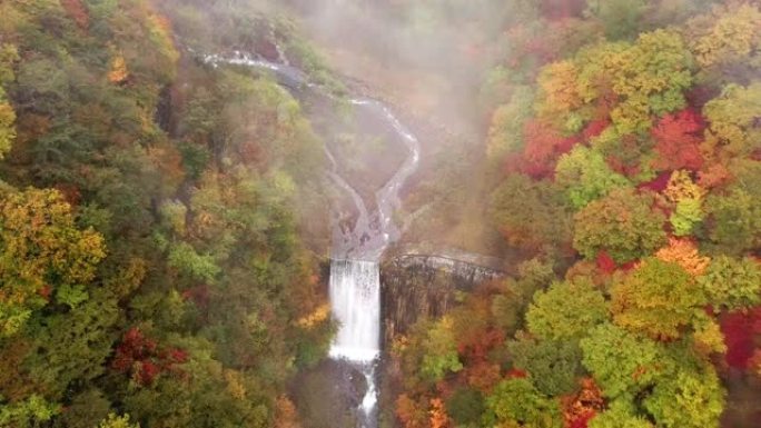 秋天瀑布和森林的鸟瞰图变色