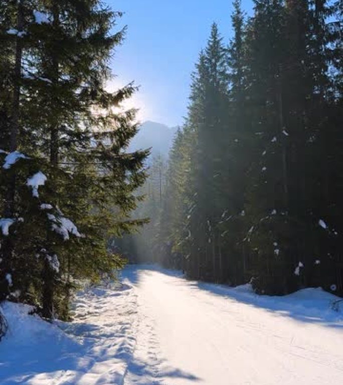 在阳光明媚的冬日通往冬季山谷的路径