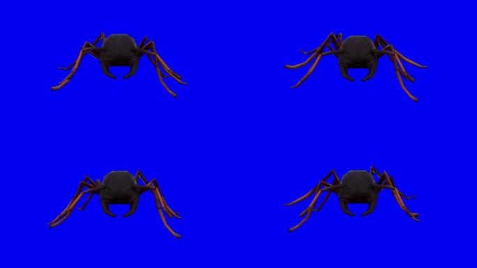 在色度键上行走的蚂蚁。动物的概念，野生动物，游戏，返校，3d动画，短视频，电影，卡通，有机，色键，人