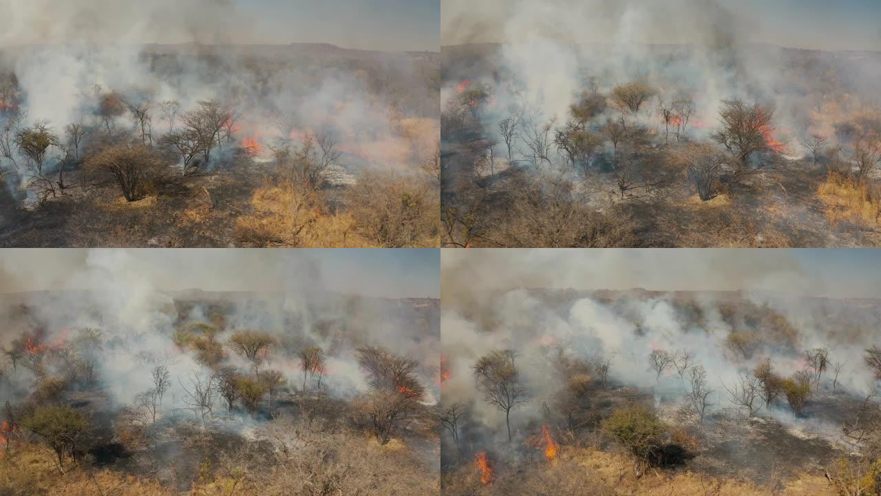 气候紧急情况。由干旱和气候变化引起的南部非洲草地大火的空中平移特写