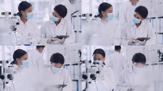 两名科学家在实验室中使用显微镜和数码平板进行样品分析。一个由女性专家组成的多样化团队，戴着口罩，在一
