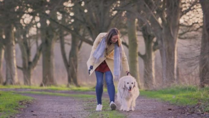 女人用假肢行走宠物金毛猎犬狗穿过秋天或冬天的乡村 -- 慢动作拍摄