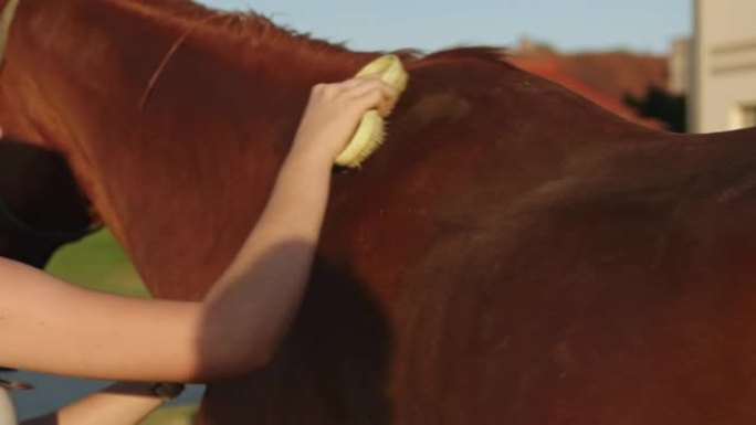 女人在农场刷马享受时光户外活动运动员