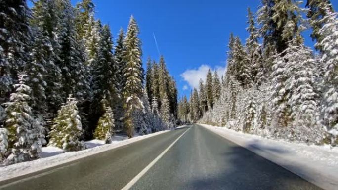 在阳光明媚的日子里，冬天在积雪覆盖的森林的空旷道路上行驶