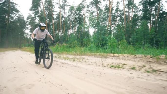骑自行车的人骑着自行车穿过松树林
