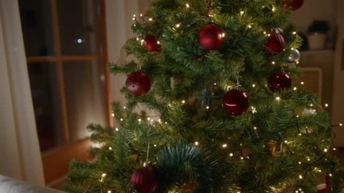 猫在树上玩红色圣诞球