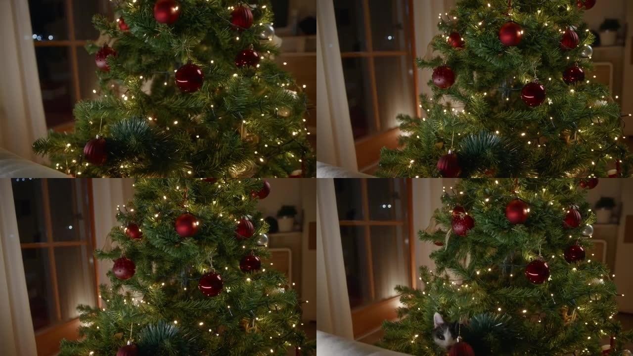 猫在树上玩红色圣诞球