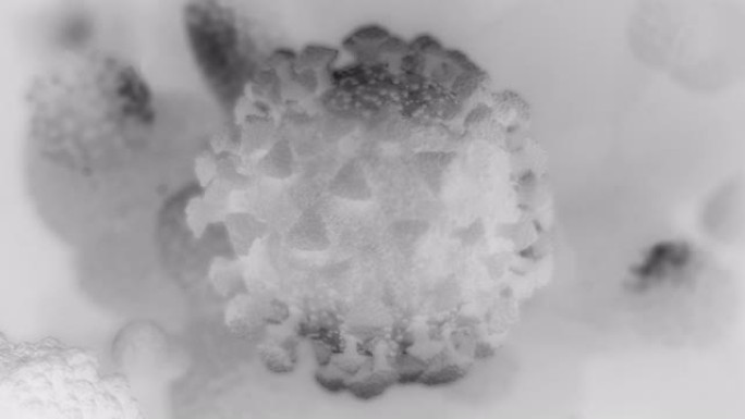 概念性病毒细胞的微观视图