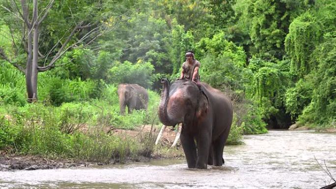 一位大象看守人骑着大象，走在一条乡村道路上的小溪中，展示着人和大象的生活方式。爱，人们与大象的纽带。