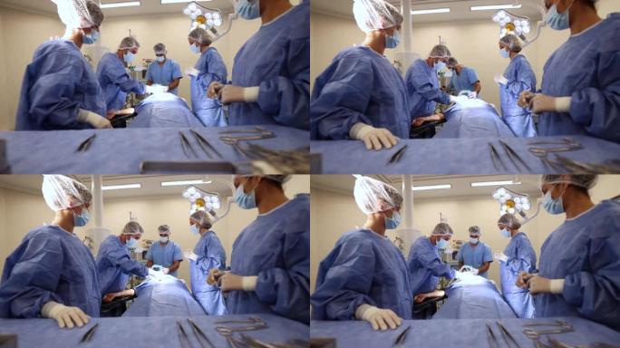 在医院与团队进行手术期间，工具主义者将手术刀交给了首席外科医生