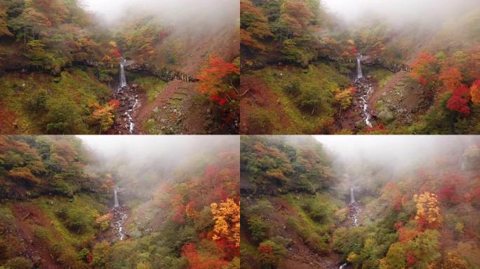 秋天瀑布和森林的鸟瞰图变色