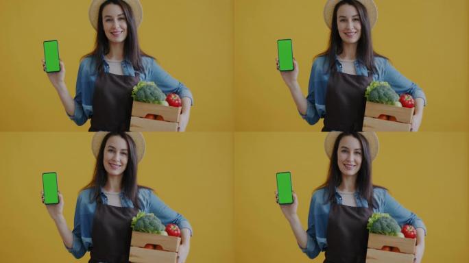 农民拿着有机蔬菜盒子的肖像和黄色背景上的绿屏色键智能手机