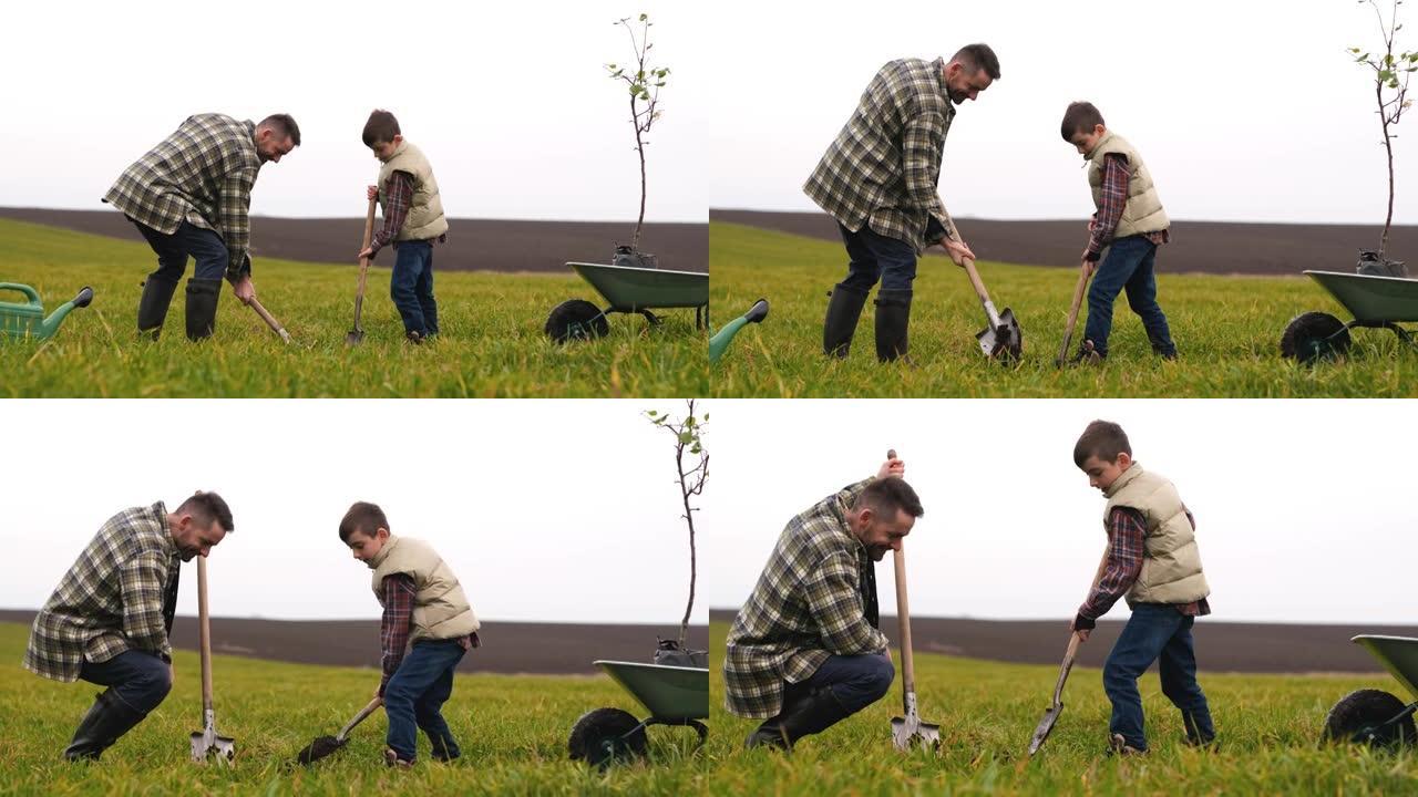 爸爸带着他的小儿子种树。慢动作