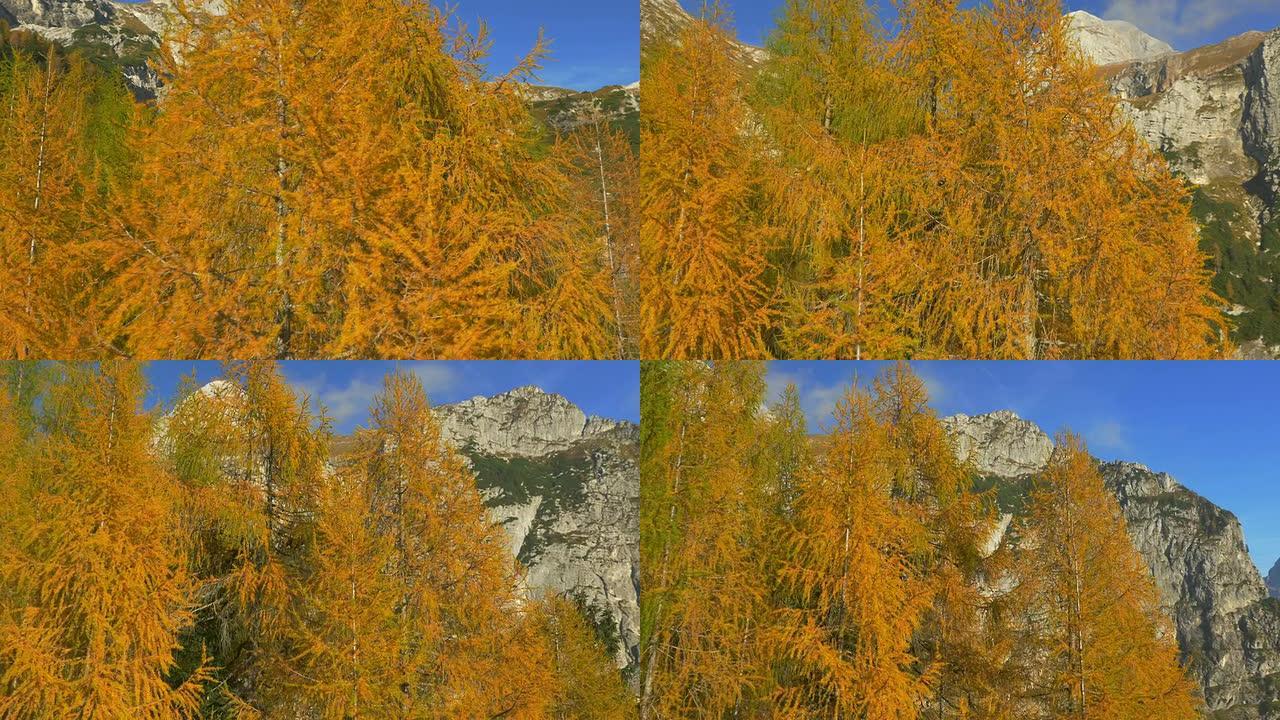 空中: 山上秋天的惊人色彩