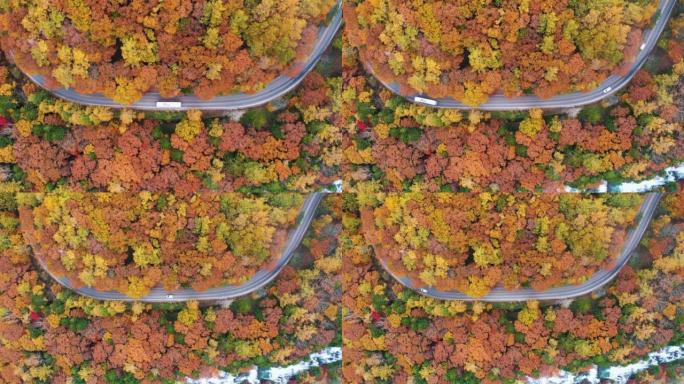 色彩缤纷的秋天森林中汽车行驶的空中俯视图