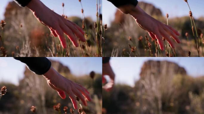 4k镜头，一个无法辨认的女人在大自然中漫步时感觉到草