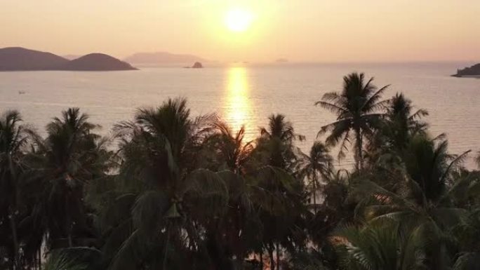 泰国麦岛椰子顶的日落景色