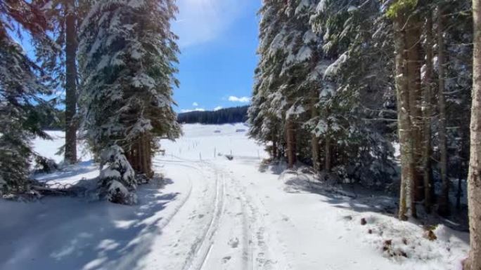 在晴天发现被白雪覆盖的云杉森林包围的雄伟山脉高原