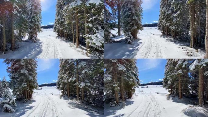 在晴天发现被白雪覆盖的云杉森林包围的雄伟山脉高原