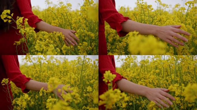 跟踪，穿着红色连衣裙的黑发特写镜头，穿过郁郁葱葱的黄色金鱼草花田，移动她的手穿过花丛