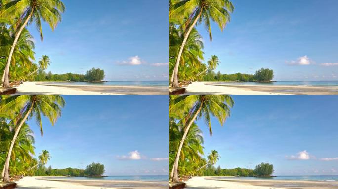 热带海滩。岛。棕榈树