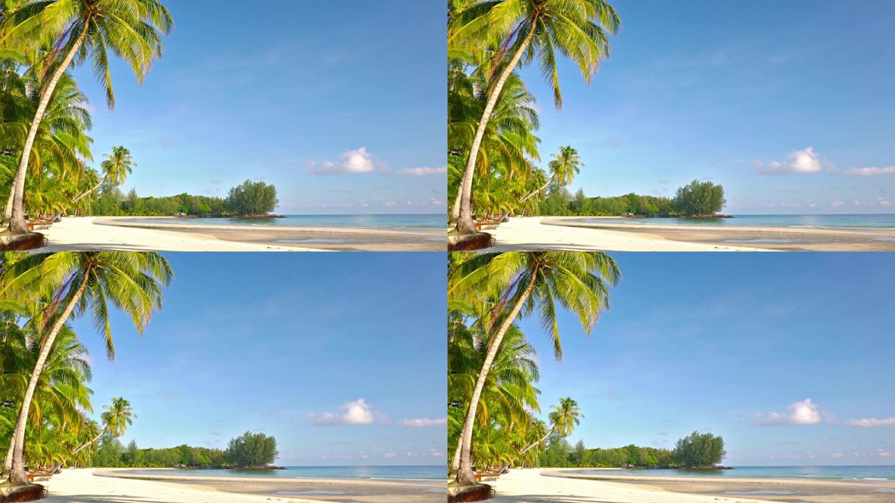 热带海滩。岛。棕榈树