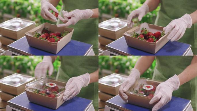 温室草莓包装