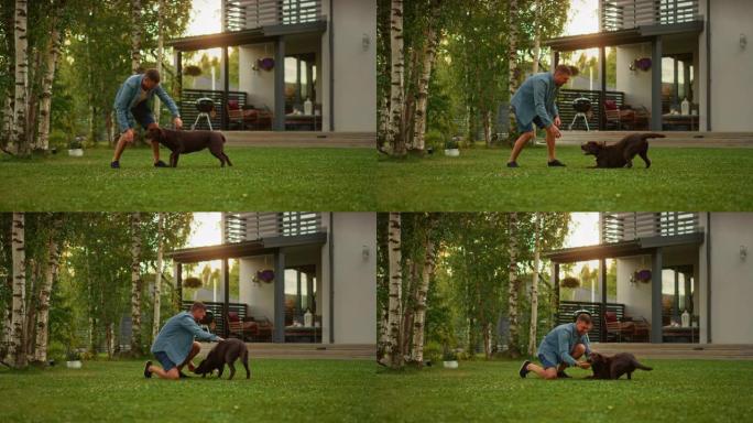 英俊的男人在后院的草坪上与快乐的棕色拉布拉多猎犬狗玩耍。男人在避暑别墅后院与忠诚的诺贝尔血统狗在户外