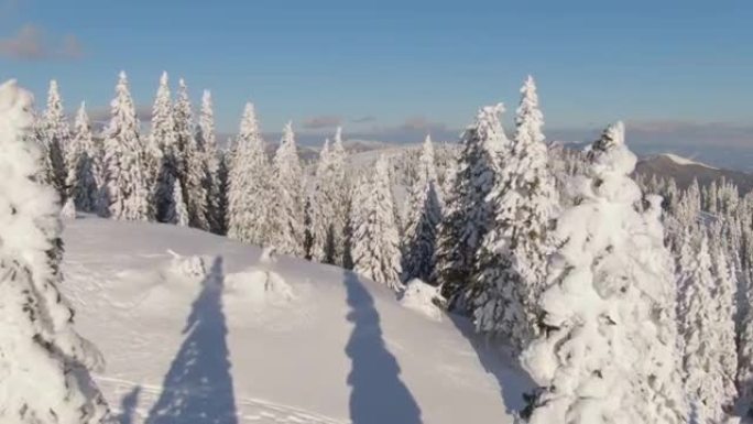 空中: 散布在Velika Planina上的云杉树被新鲜的积雪覆盖。