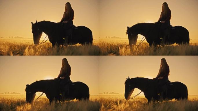 日落时分，金色的麦田里，女人骑在马上