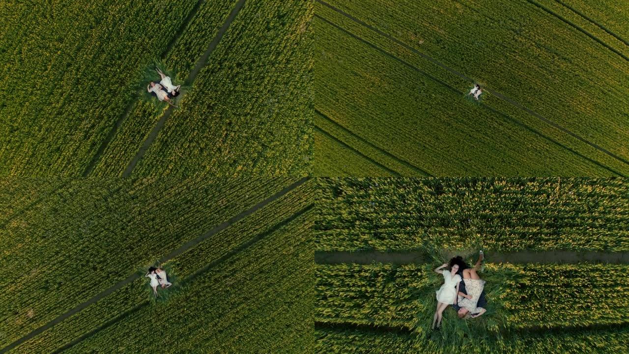 空中女性朋友躺在年轻的小麦中