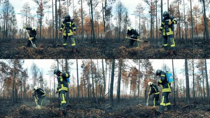 两名消防员正在扑灭残留的森林大火