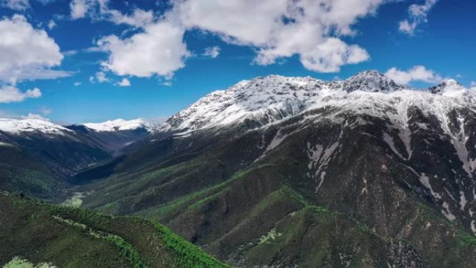 雅拉雪山下的山谷里全是森林