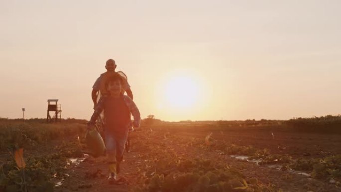 SLO MO父子在日落时在田野里奔跑的乐趣
