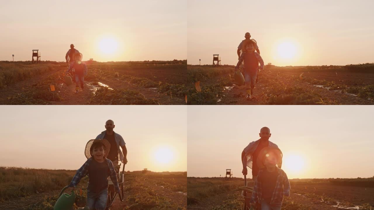SLO MO父子在日落时在田野里奔跑的乐趣