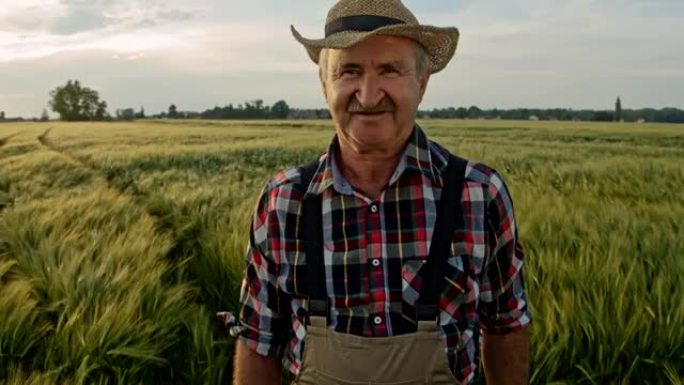 SLO MO的肖像，一个老农民站在绿色的麦田