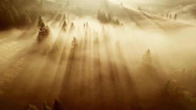 山里壮丽的朦胧日出。早晨的阳光在小雾中照射在树木之间。空中无人机4k射击