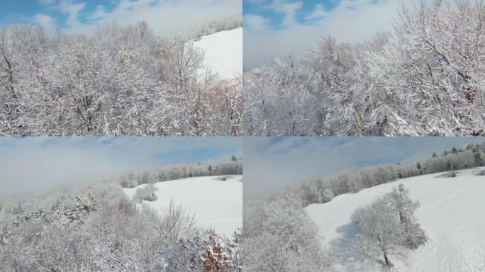 FPV无人机: 深秋的早雪使林木，草地和山谷变白