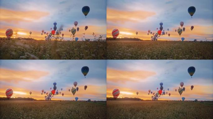 日出时漂浮在田园诗般的热气球
