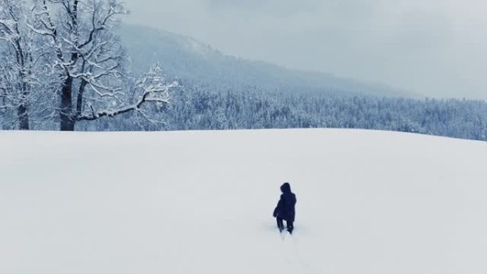 迷失的徒步旅行者独自行走在深雪中迷失方向冬季景观户外探险之旅