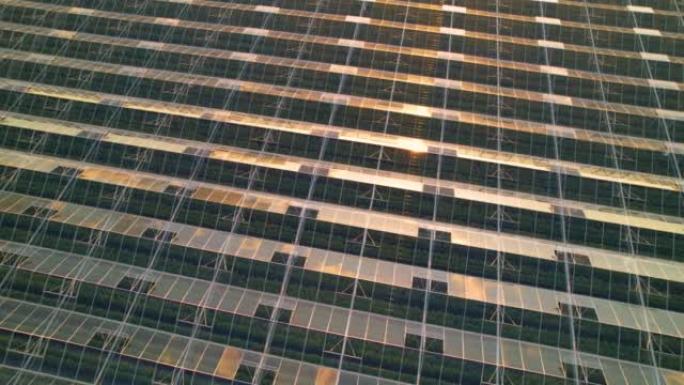 空中拍摄，近景:日光照射在现代水培温室的屋顶上