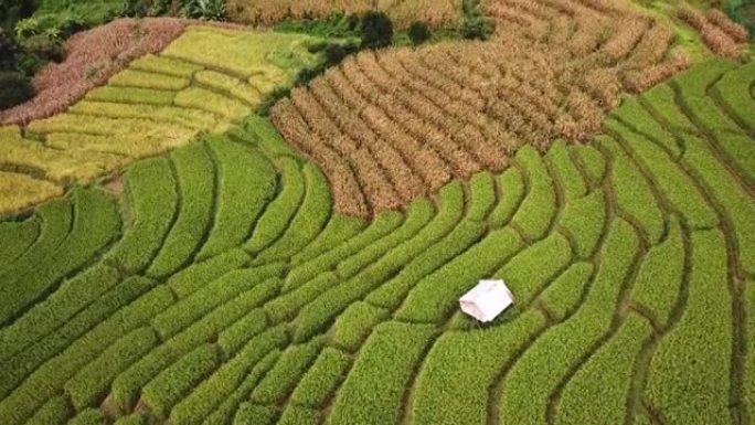 山上稻田的鸟瞰图乡村振兴农业生产农业农村
