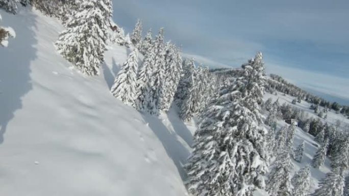 FPV无人机: 美丽的山树和林间空地覆盖着新鲜的雪毯