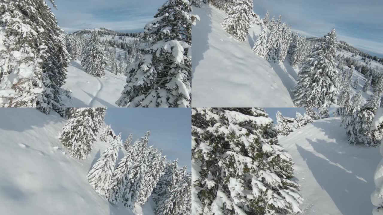 FPV无人机: 美丽的山树和林间空地覆盖着新鲜的雪毯