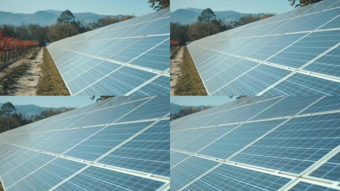 太阳能电池板、农业和葡萄园在农业工业中的可再生能源节约和可持续电力发展、太阳能农业领域、碳捕集和生态