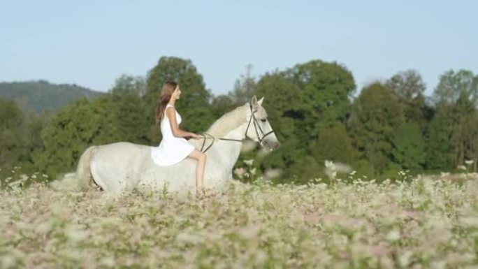 慢动作: 年轻的黑发女孩骑着一匹美丽的白马经过田野。