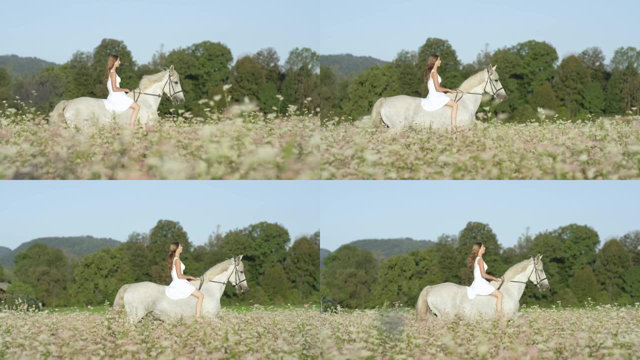 慢动作: 年轻的黑发女孩骑着一匹美丽的白马经过田野。