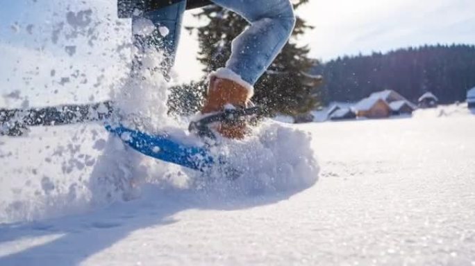 用雪鞋探索雄伟的冬季景观